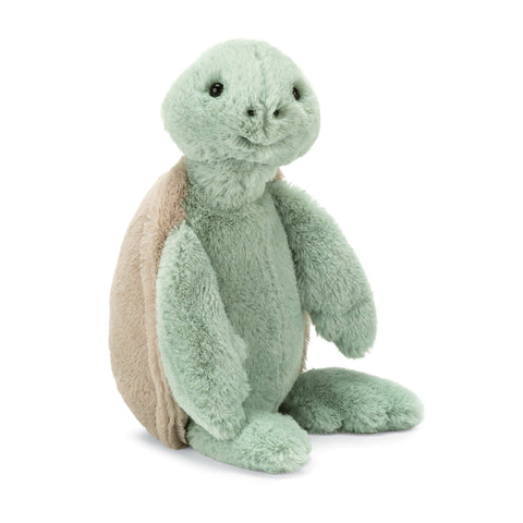 Bashful Turtle Medium