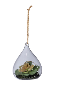Rosette Succulent - Teardrop