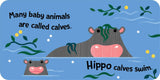 Sourcebooks - Baby Block Books: Baby Animals