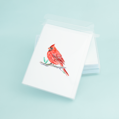Taylor Paladino - Red Cardinal