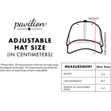 Pavilion - The Legend - Gray Adjustable Hat
