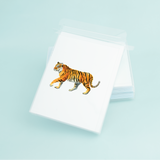 Taylor Paladino - Tiger