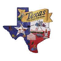 Texas Shaped Map Resin Magnet