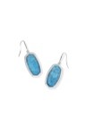 DANI BEZEL DROP EARRINGS SILVER VARIEGATED INDIGO MAGNESITE