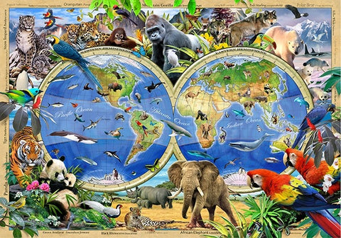 Animal Kingdom Map Puzzle