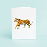 Taylor Paladino - Tiger