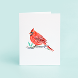 Taylor Paladino - Red Cardinal
