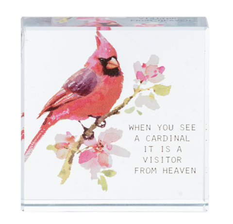 BLOCK TALK - When you see a cardinal it is a visitor from Heaven