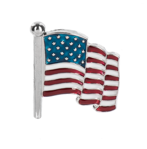God Bless America Pin