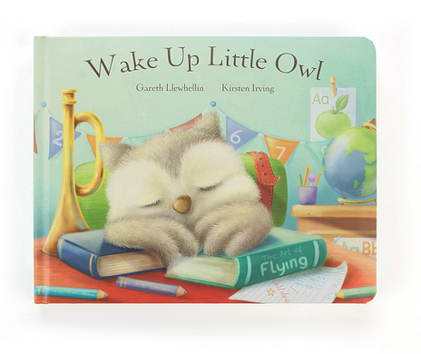 Wake Up Little Owl Book **RETIRED**